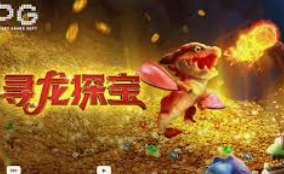 鲸鱼体育2024最新版