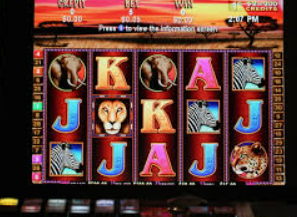 鲸鱼体育手机版