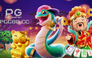 鲸鱼体育2024最新版