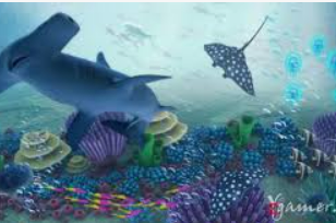 鲸鱼体育2024最新版